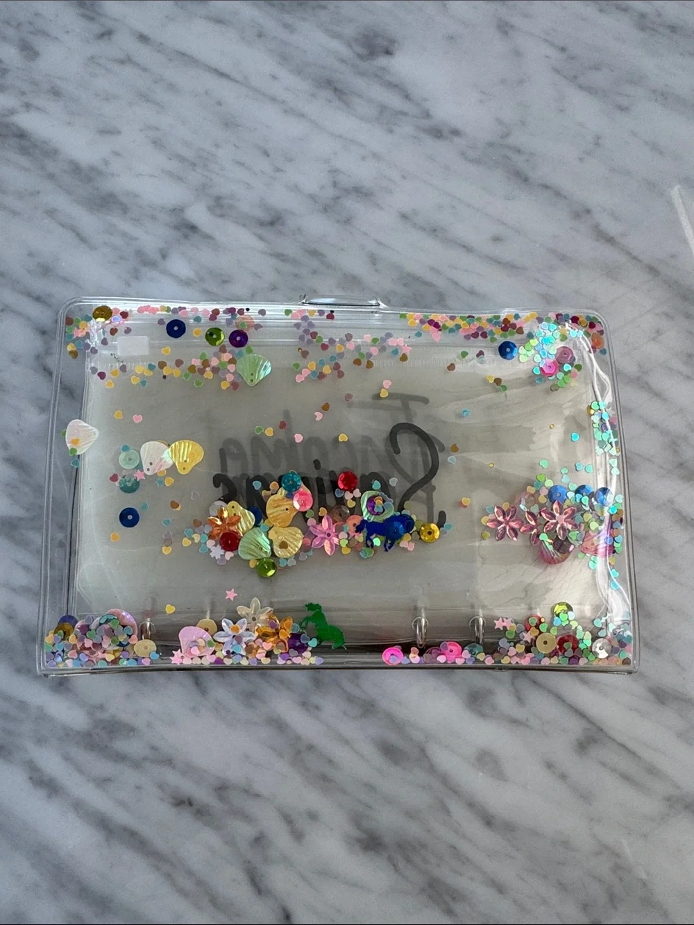 Savings Binder with Zipper Pouches. Clear pvc.